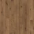 Black Sea Oak