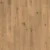 Oak Carpatian